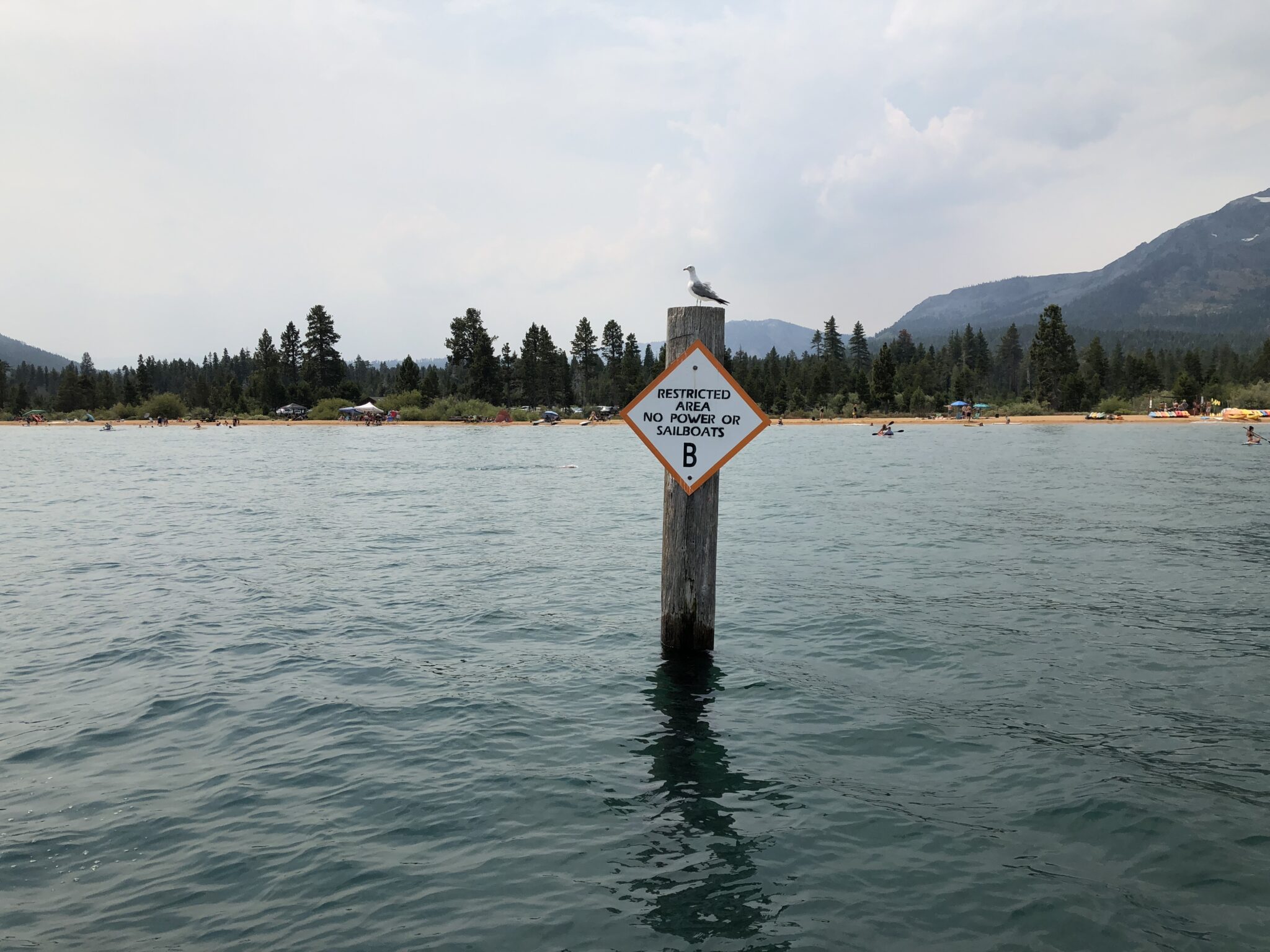 Training Swims in Lake Tahoe A Swimmer's Guide • Lake Tahoe Marathon